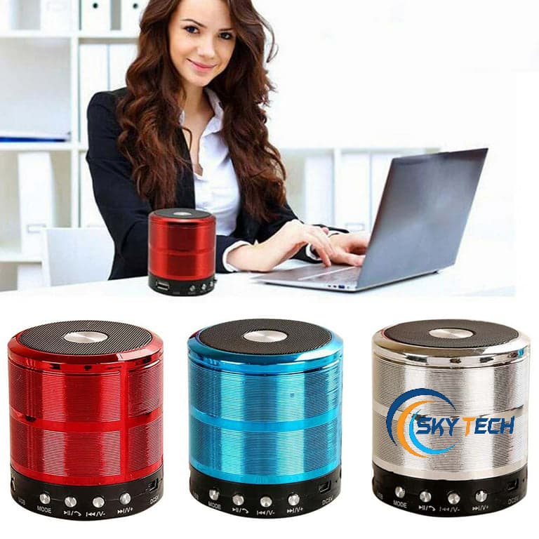 WSTER Ws-887 Mini Bluetooth Speaker view 4