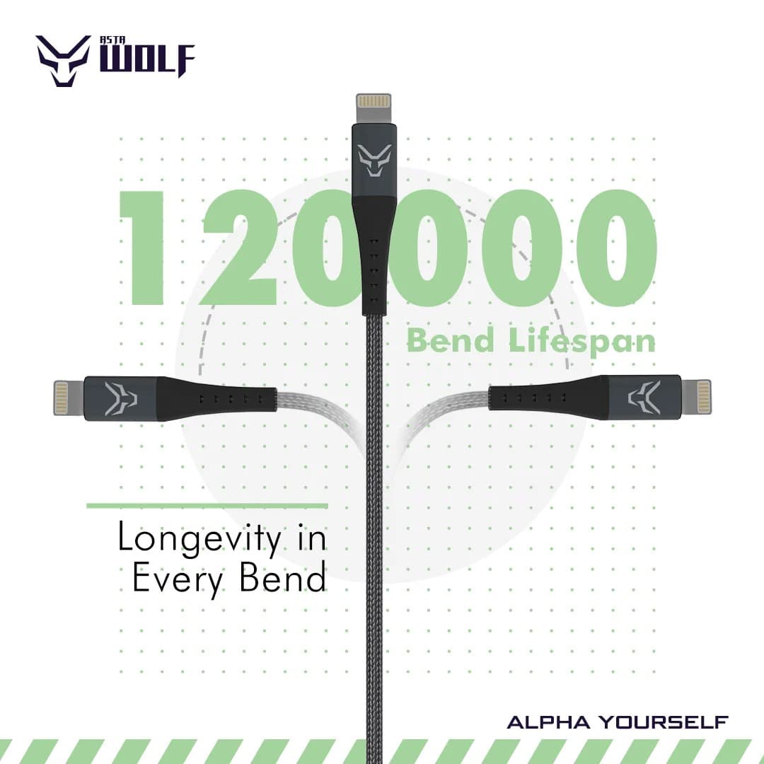Asta WOLF Hyper 100cm Type-C To Lightning Cable 30W Braided Cable view 2