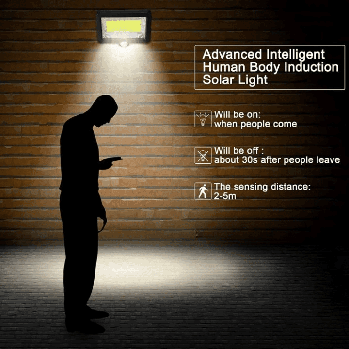 Outdoor COB LED Wired Solar Light With Motion Sensor view 3