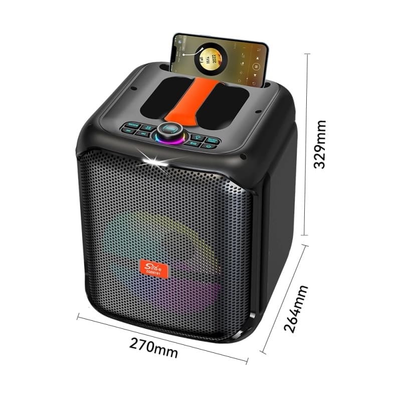 Sing-e ZQS8181 Wireless Bluetooth 8-Inch Outdoor Karaoke Speaker view 5