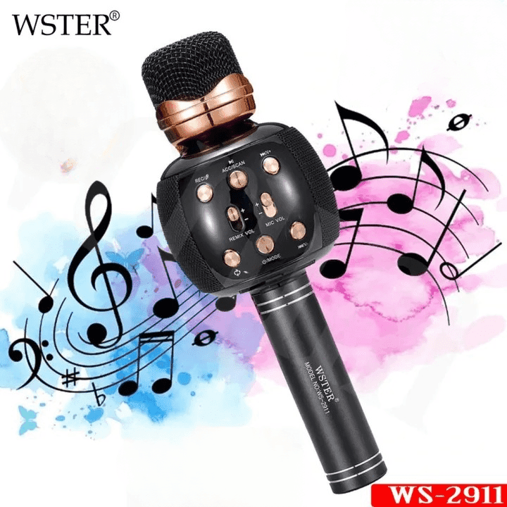 WSTER WS 2911 Bluetooth Speaker Wireless Karaoke Microphone Support USB TF Card FM Radio view 1